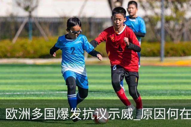 欧洲多国爆发抗议示威 原因何在？影响几何？